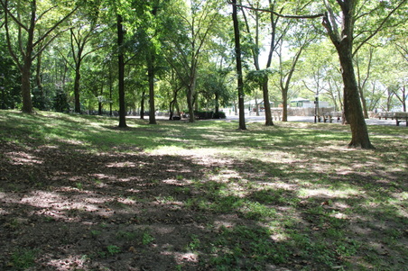 Enlarge photo 3