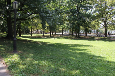 Enlarge photo 5