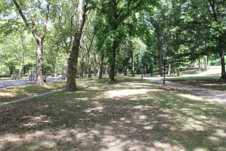 Enlarge photo 7