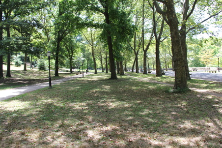 Enlarge photo 8