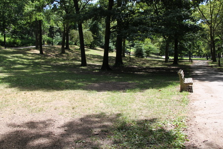 Enlarge photo 9