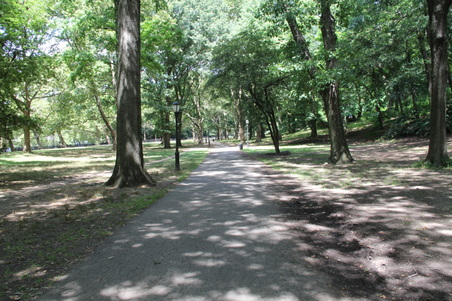 Enlarge photo 10