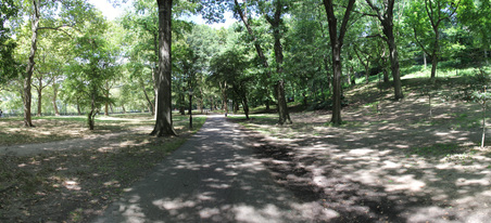 Enlarge photo 11
