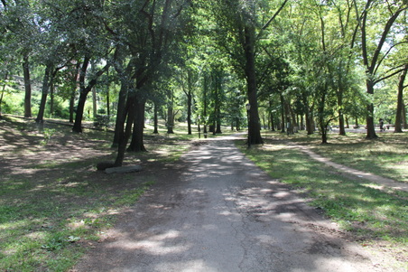 Enlarge photo 12