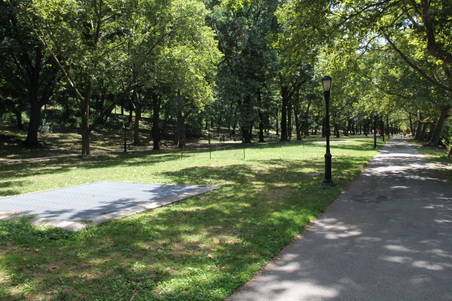 Enlarge photo 13