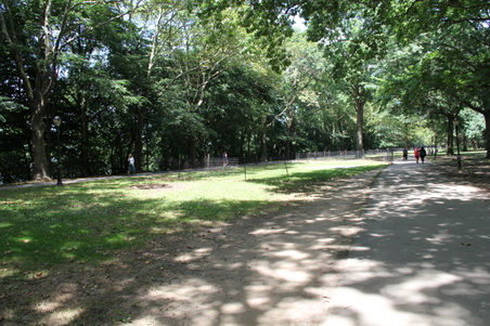 Enlarge photo 14