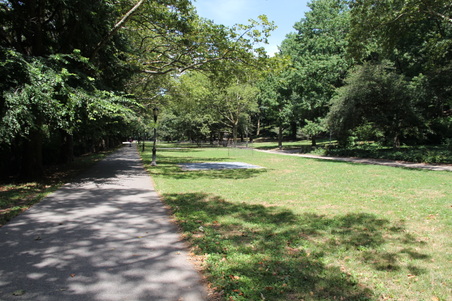 Enlarge photo 16