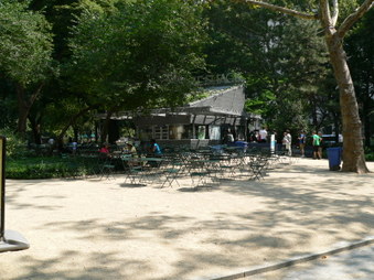 Enlarge photo 4