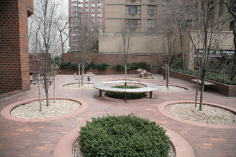 Enlarge photo 13