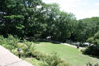 Enlarge photo 44