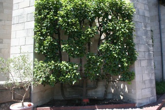 Enlarge photo 41