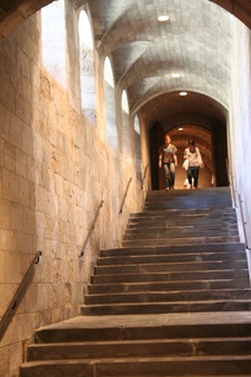 Enlarge photo 13