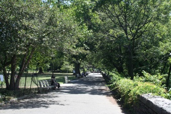 Enlarge photo 3