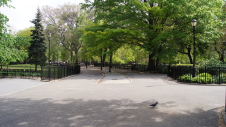 Enlarge photo 22