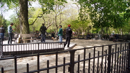 Enlarge photo 31