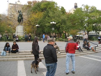 Enlarge photo 9