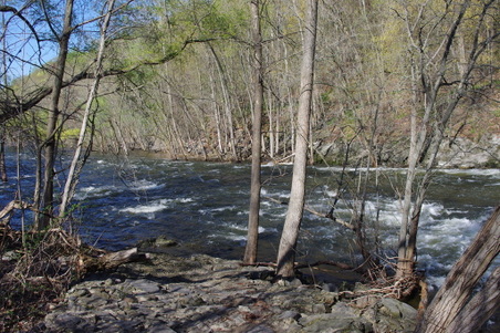 Enlarge photo 11
