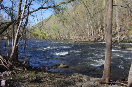 Enlarge photo 12