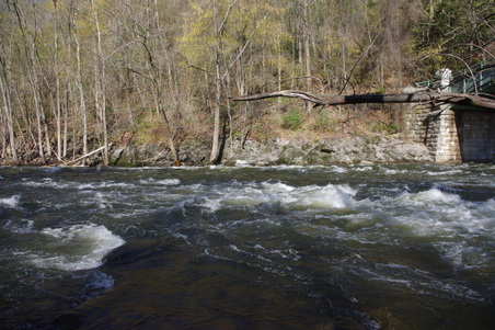 Enlarge photo 15