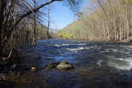 Enlarge photo 16