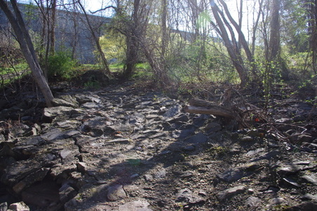 Enlarge photo 17