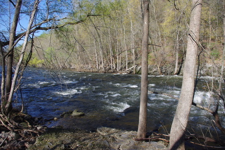 Enlarge photo 18
