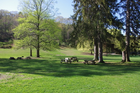 Enlarge photo 21