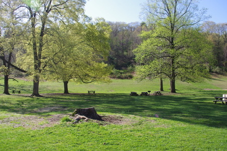 Enlarge photo 22