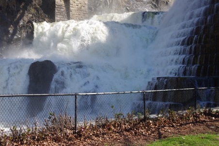 Enlarge photo 25