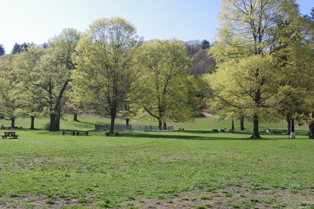 Enlarge photo 28