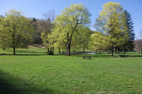 Enlarge photo 30