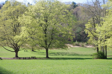 Enlarge photo 31