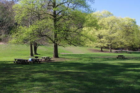 Enlarge photo 32