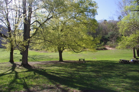 Enlarge photo 33