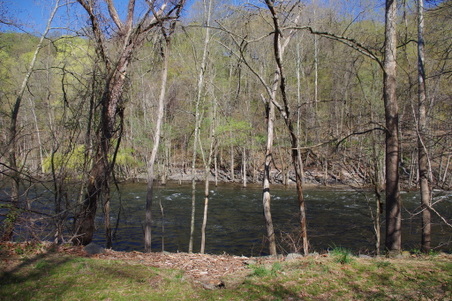 Enlarge photo 35