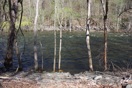 Enlarge photo 36