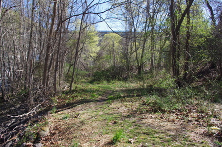 Enlarge photo 37