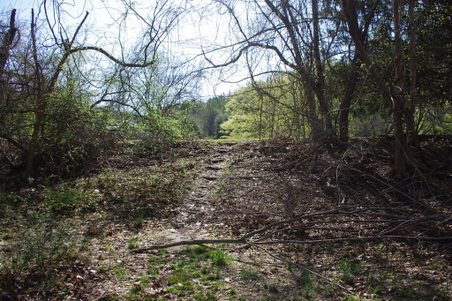Enlarge photo 38