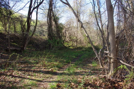 Enlarge photo 39