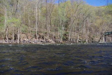 Enlarge photo 40