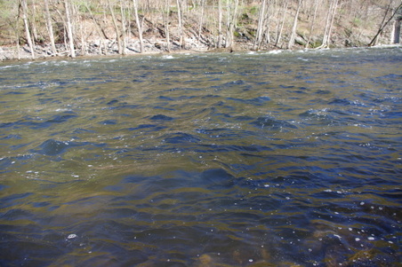 Enlarge photo 41