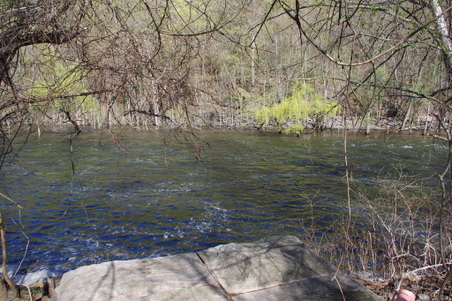 Enlarge photo 43