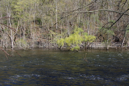 Enlarge photo 44