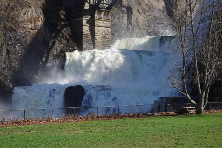 Enlarge photo 10