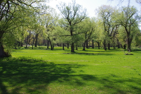 Enlarge photo 5