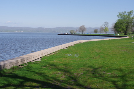 Enlarge photo 13