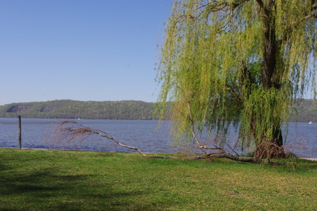 Enlarge photo 16