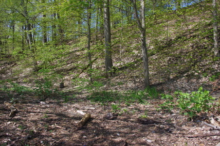 Enlarge photo 25