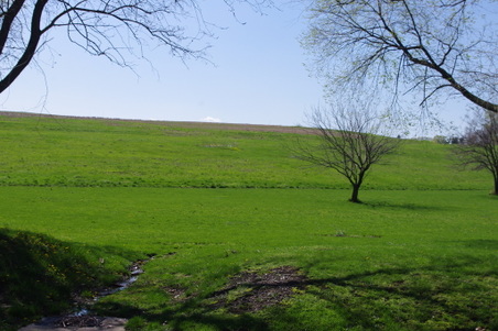Enlarge photo 31