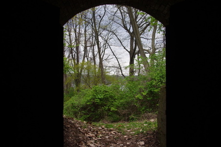 Enlarge photo 37